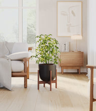 Load image into Gallery viewer, Stone Black stand:walnut