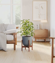 Load image into Gallery viewer, Iron Gray stand:walnut