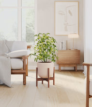 Load image into Gallery viewer, Sandy Pink stand:walnut