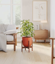 Load image into Gallery viewer, Earth Red stand:walnut
