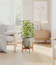 Load image into Gallery viewer, Sage Green stand:bamboo