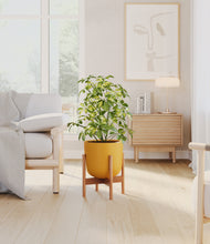 Load image into Gallery viewer, Sunset Orange stand:bamboo