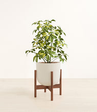 Load image into Gallery viewer, Natural Bamboo stand:walnut