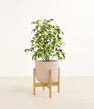 Load image into Gallery viewer, Sandy Pink stand:bamboo