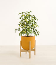 Load image into Gallery viewer, Sunset Orange stand:bamboo