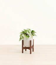 Load image into Gallery viewer, Natural Bamboo stand:walnut