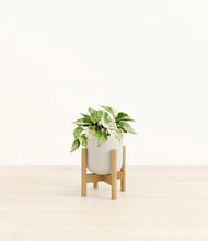 Load image into Gallery viewer, Natural Bamboo stand:bamboo