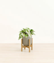 Load image into Gallery viewer, Sage Green stand:bamboo