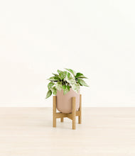 Load image into Gallery viewer, Sandy Pink stand:bamboo