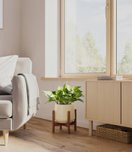 Load image into Gallery viewer, Almond Green stand:walnut