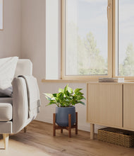 Load image into Gallery viewer, Deep Navy stand:walnut