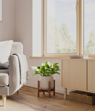 Load image into Gallery viewer, Eternal Gray stand:walnut