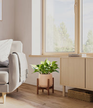 Load image into Gallery viewer, Gentle Pink stand:walnut