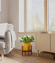 Load image into Gallery viewer, Mustard stand:walnut