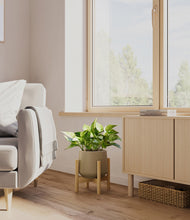 Load image into Gallery viewer, Olive stand:bamboo