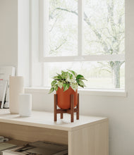 Load image into Gallery viewer, Earth Red stand:walnut