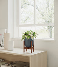 Load image into Gallery viewer, Iron Gray stand:walnut