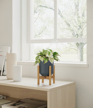 Load image into Gallery viewer, Iron Gray stand:bamboo