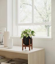 Load image into Gallery viewer, Stone Black stand:walnut