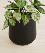 Load image into Gallery viewer, Black stand:all