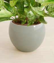 Load image into Gallery viewer, Deep Ocean stand:all