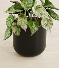 Load image into Gallery viewer, Stone Black stand:all