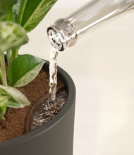 Load image into Gallery viewer, Dark Olive stand:all