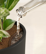 Load image into Gallery viewer, Black stand:all