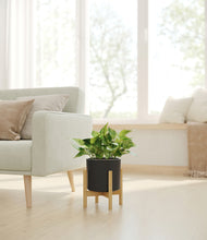 Load image into Gallery viewer, Black stand:bamboo