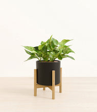 Load image into Gallery viewer, Black stand:bamboo