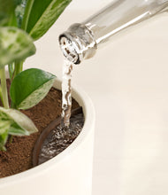 Load image into Gallery viewer, Cream stand:all