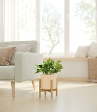 Load image into Gallery viewer, Cream stand:bamboo