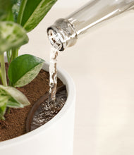 Load image into Gallery viewer, White stand:all