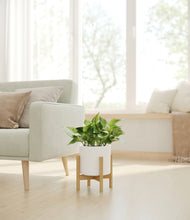 Load image into Gallery viewer, White stand:bamboo