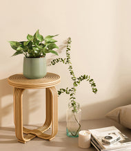 Load image into Gallery viewer, Turquoise