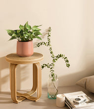 Load image into Gallery viewer, Calm Rose