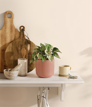 Load image into Gallery viewer, Striped Rose Pink