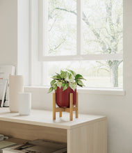 Load image into Gallery viewer, Striped Cherry Red stand:bamboo