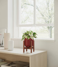 Load image into Gallery viewer, Striped Cherry Red stand:walnut