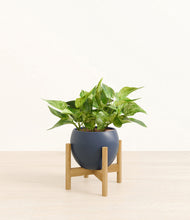 Load image into Gallery viewer, Deep Navy stand:bamboo