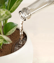 Load image into Gallery viewer, Shiny EggWhite stand:all