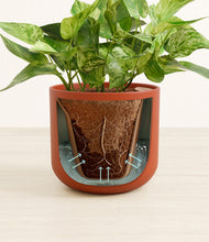 Load image into Gallery viewer, Earth Red