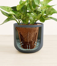 Load image into Gallery viewer, Iron Gray