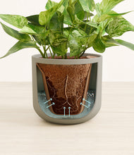 Load image into Gallery viewer, Sage Green