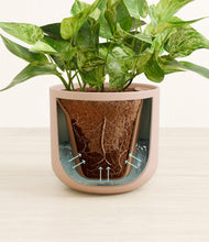 Load image into Gallery viewer, Sandy Pink