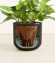 Load image into Gallery viewer, Stone Black