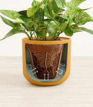 Load image into Gallery viewer, Sunset Orange