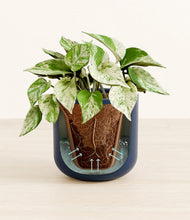 Load image into Gallery viewer, Twilight Blue stand:all