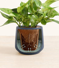 Load image into Gallery viewer, Deep Navy stand:all