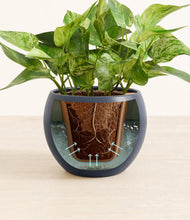 Load image into Gallery viewer, Deep Navy stand:all